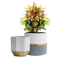 Load image into Gallery viewer, Ceramic Flower Pot