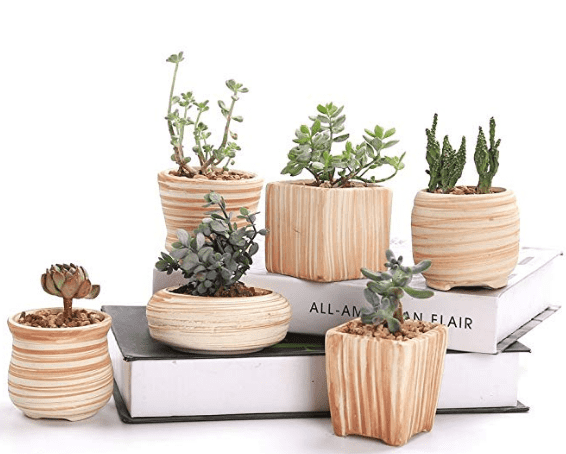 Container Planter